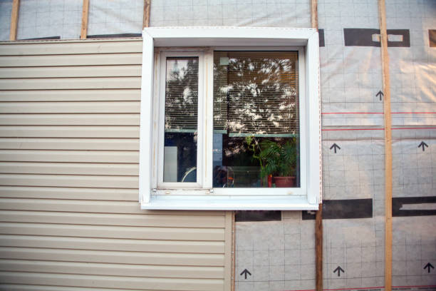 Best Stone Veneer Siding  in Blue Ridge, AL