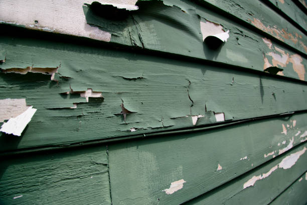 Best Siding Painting and Refinishing  in Blue Ridge, AL