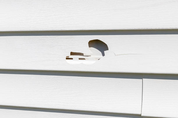 Best Residential Vinyl Siding Installation  in Blue Ridge, AL