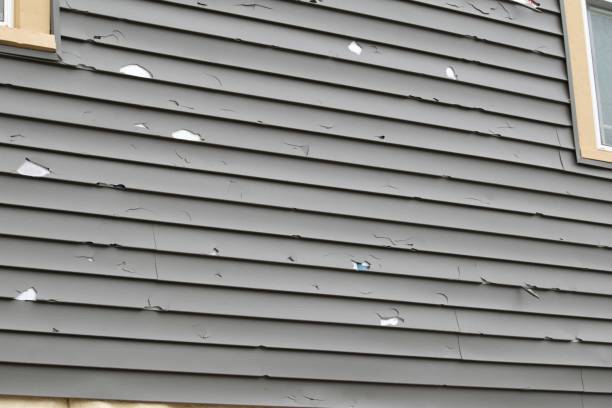 Best Engineered Wood Siding  in Blue Ridge, AL