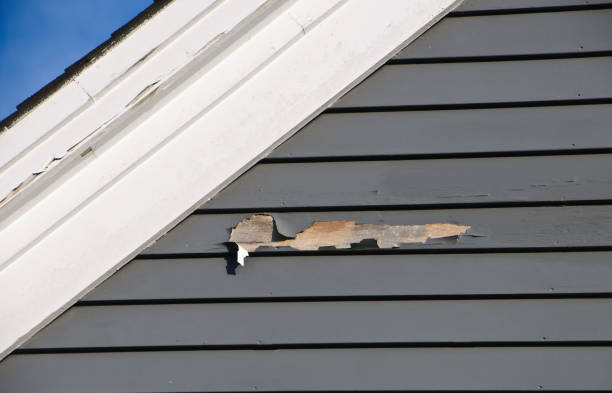 Professional Siding Installation & Repair in Blue Ridge, AL